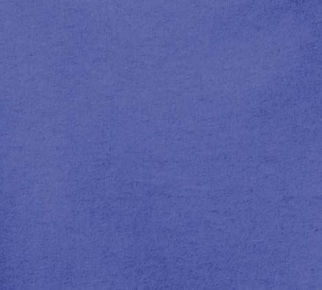 Blue Iris   Bright